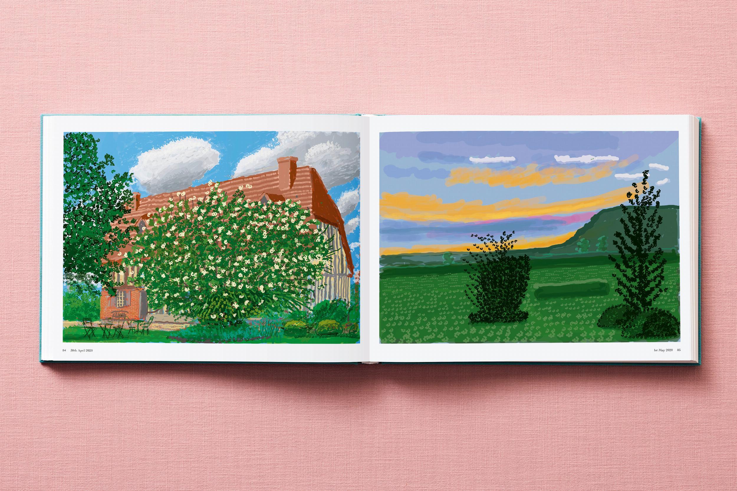 David Hockney. 220 pour 2020 en vente 5