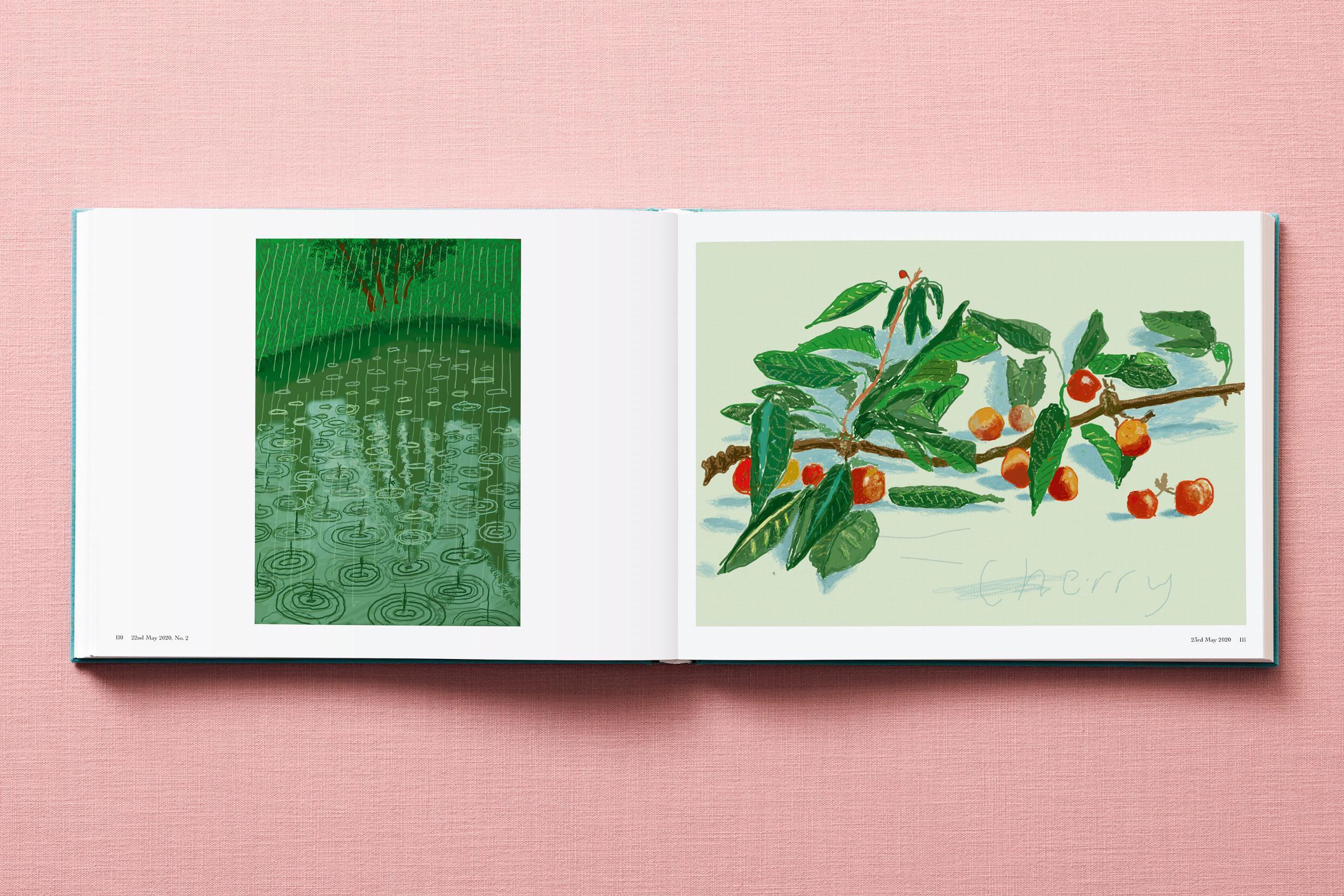 David Hockney. 220 pour 2020 en vente 6