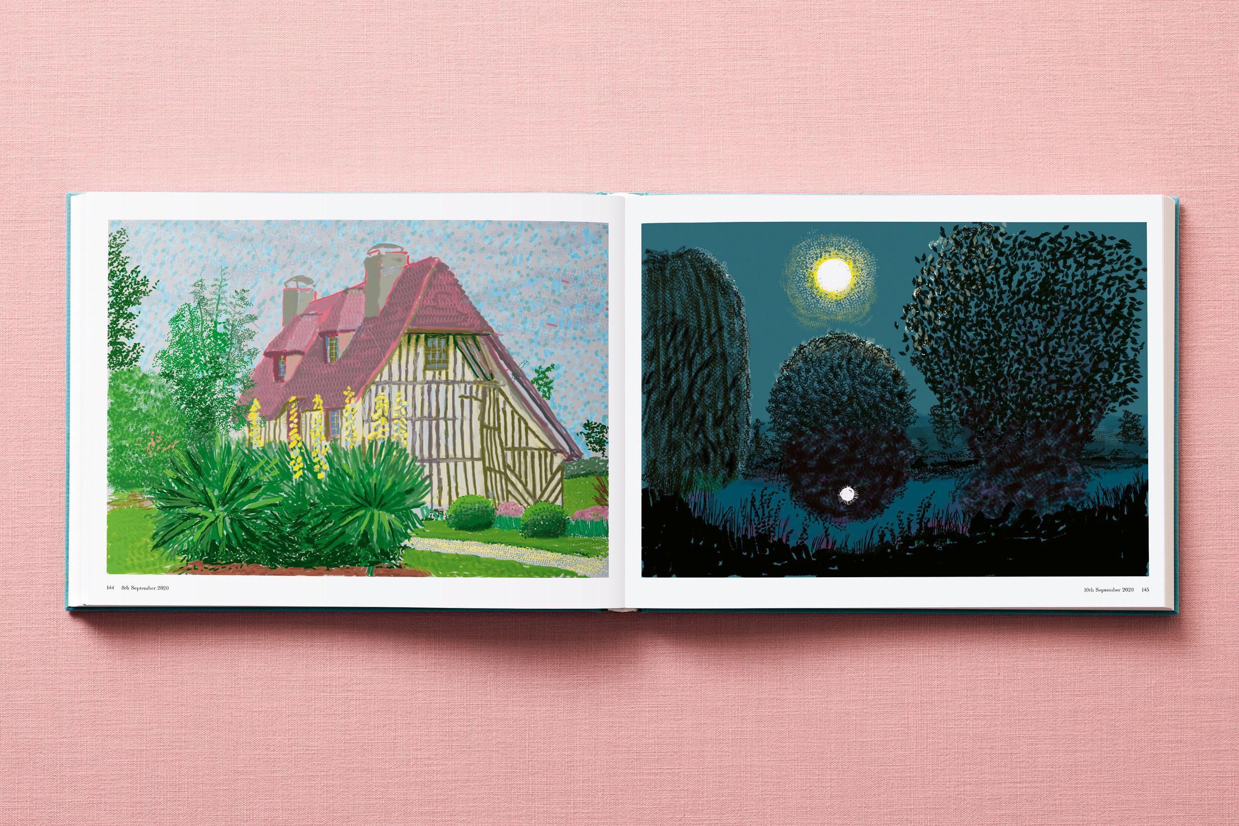 David Hockney. 220 pour 2020 en vente 8