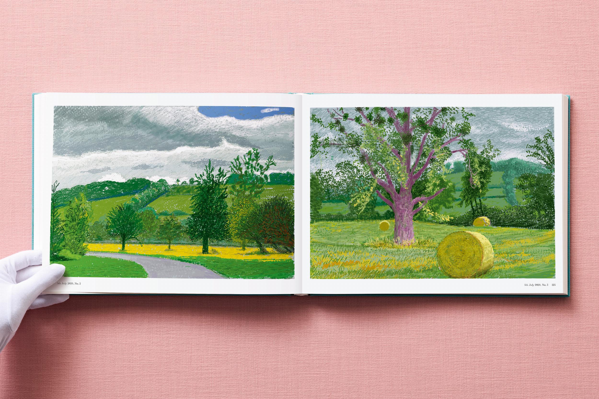David Hockney. 220 pour 2020 en vente 11