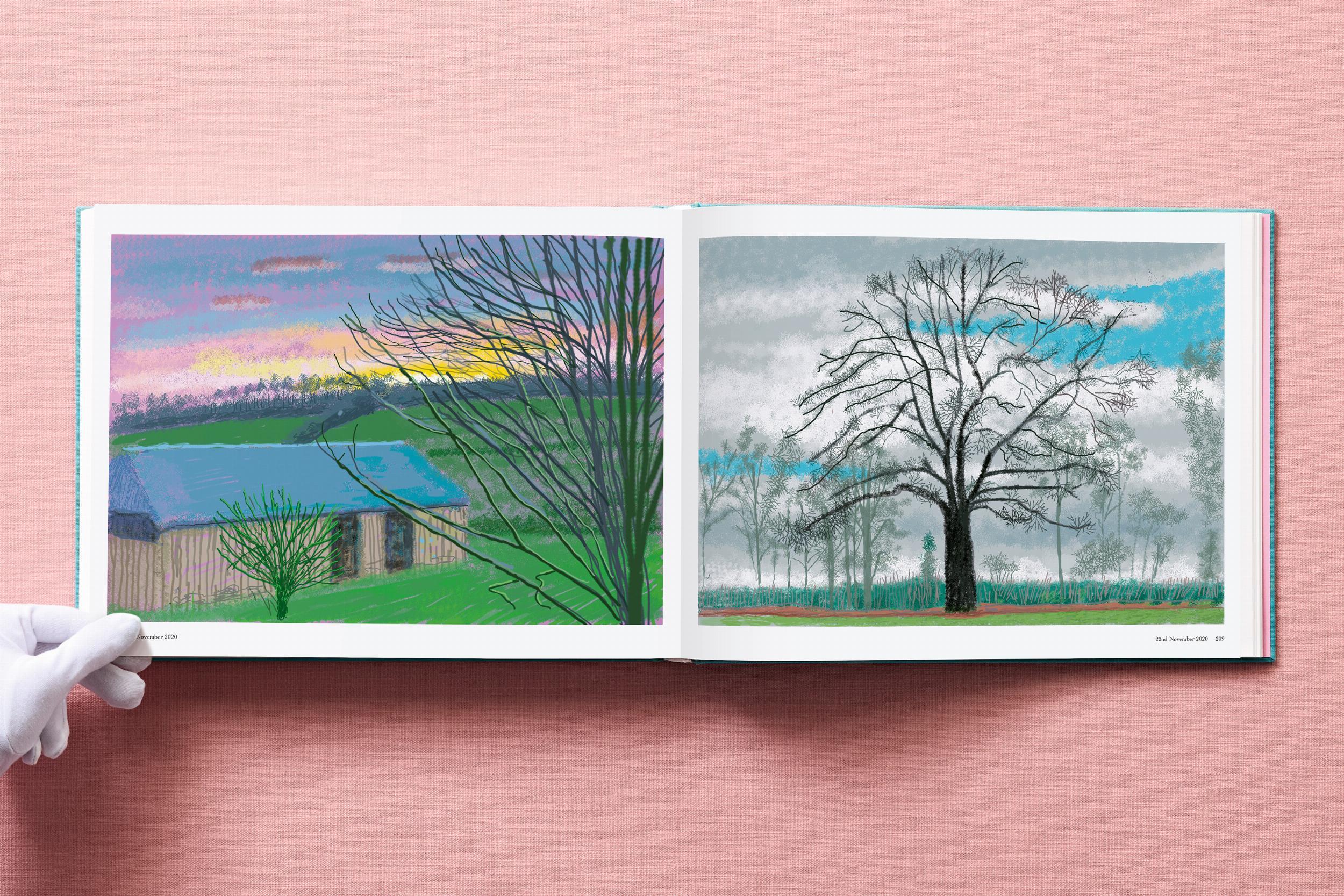 italien David Hockney. 220 pour 2020 en vente