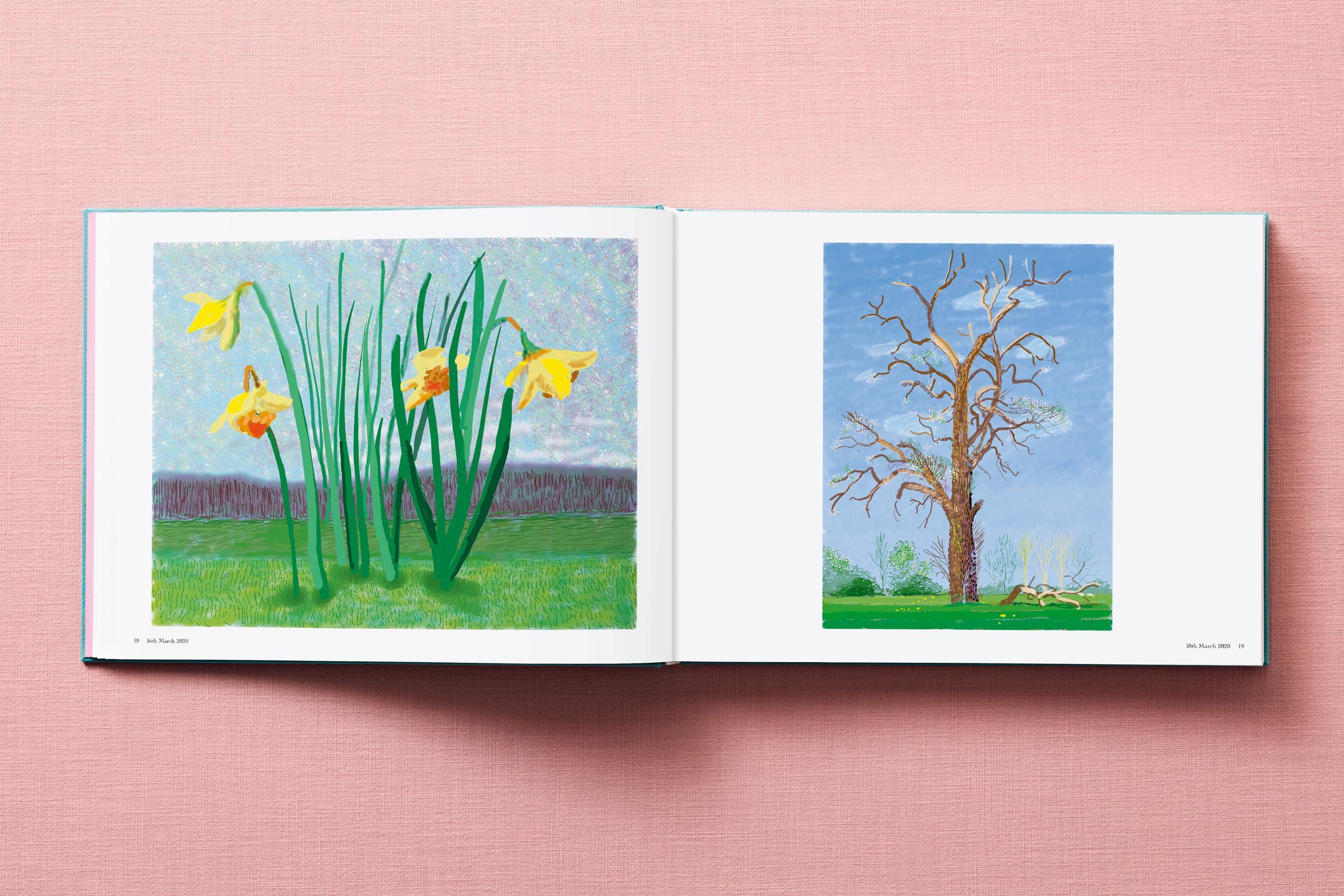 David Hockney. 220 pour 2020 en vente 2