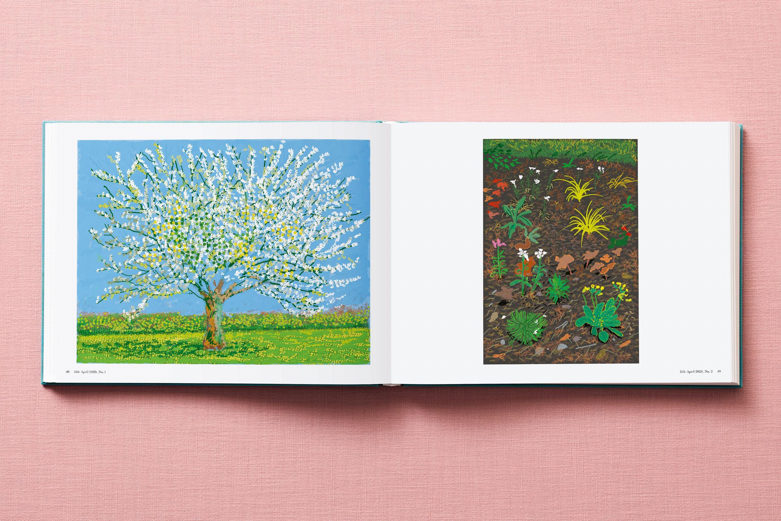 David Hockney. 220 pour 2020 en vente 3