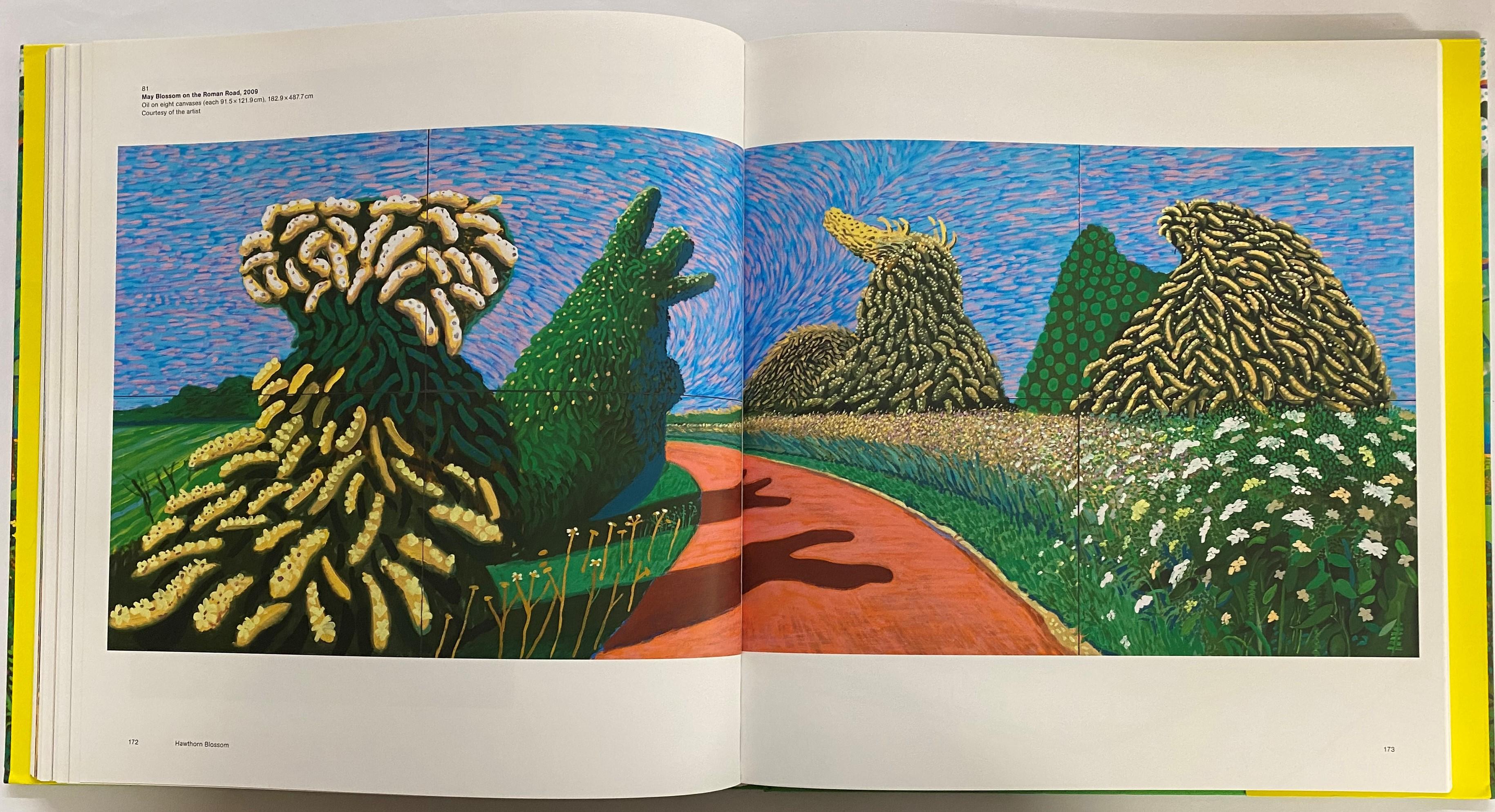 David Hockney: A Big Picture by Xavier F. Salomon (Book) For Sale 6