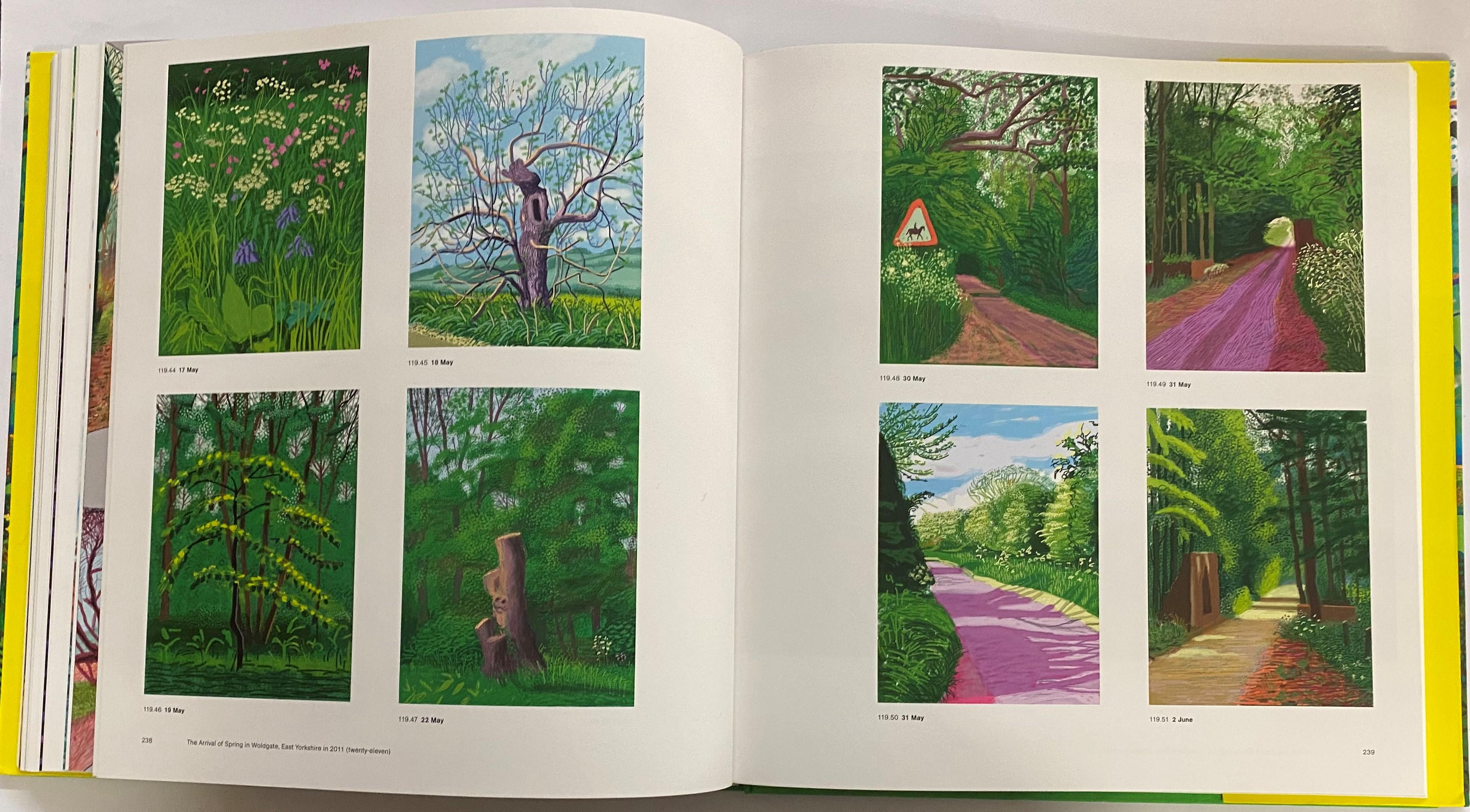 David Hockney: A Big Picture by Xavier F. Salomon (Book) For Sale 9
