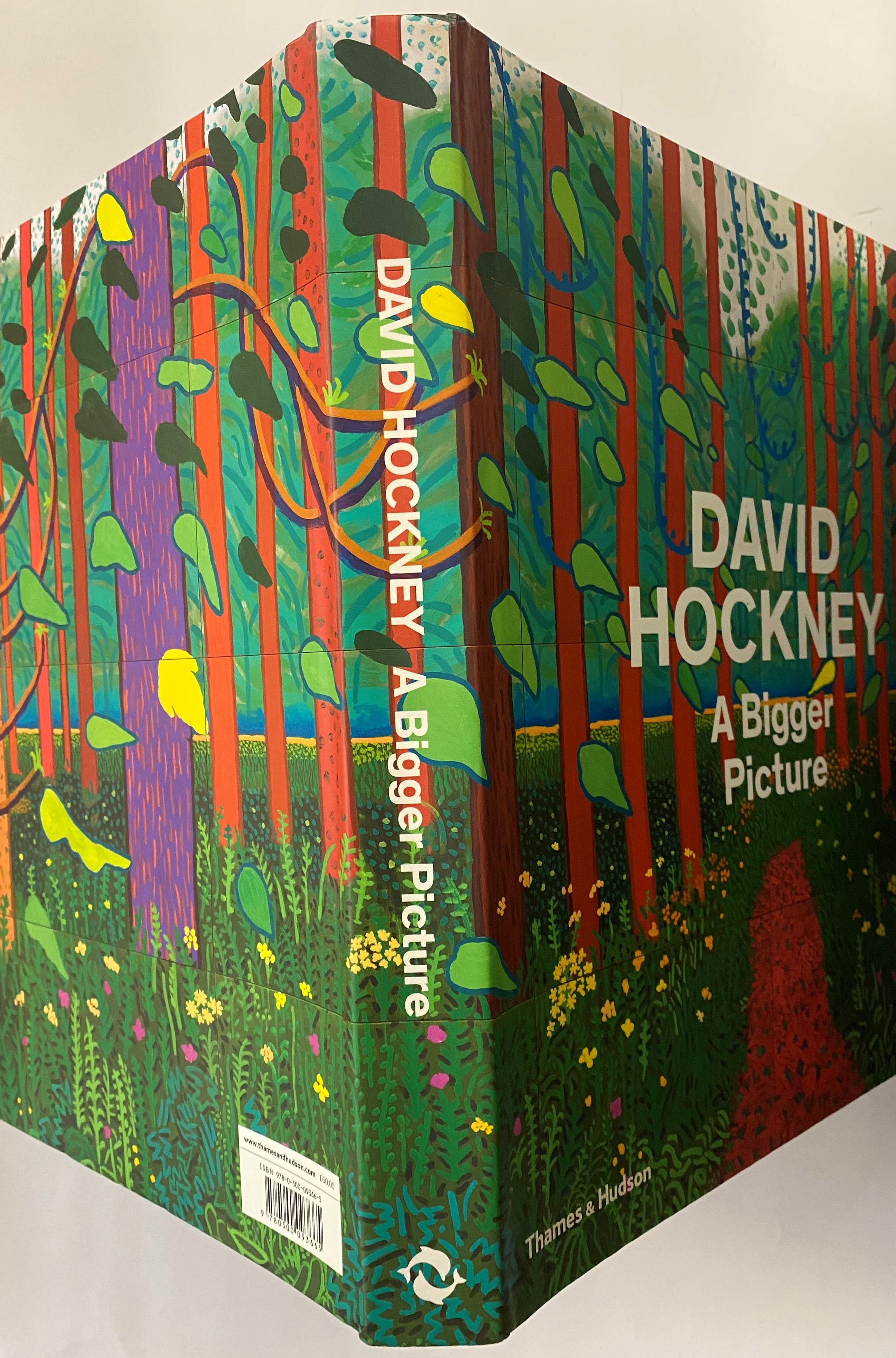 David Hockney: A Big Picture by Xavier F. Salomon (Book) For Sale 11