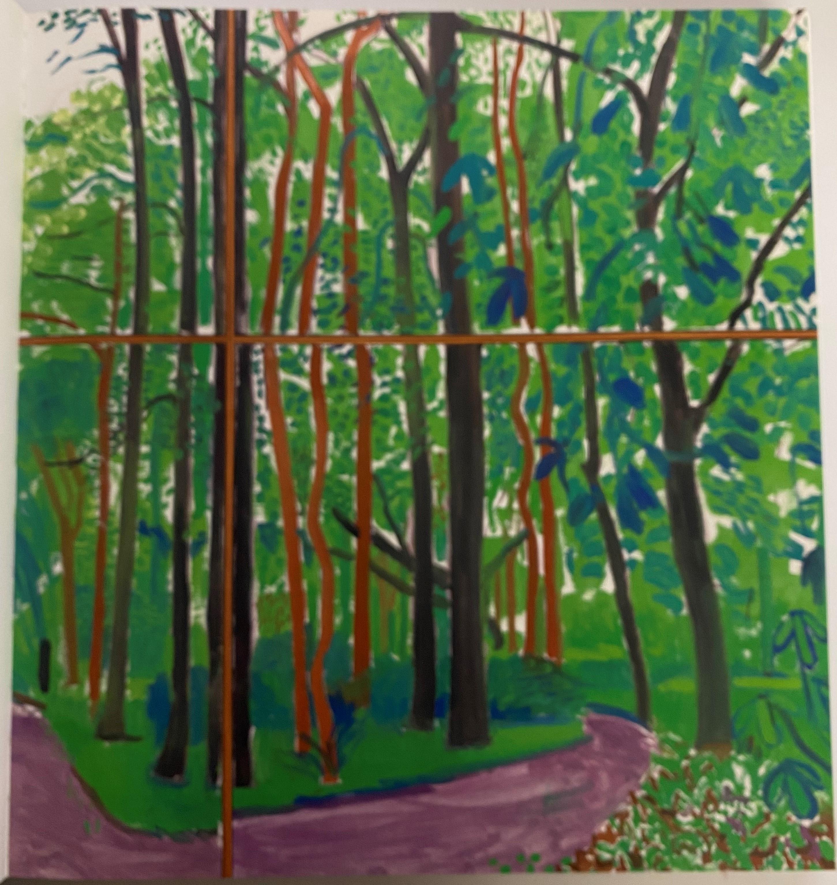 David Hockney CH RA has always been closely associated with California, where he has lived for much of his life. This major study of his work redefines him as an important painter of the English countryside, presenting his recent landscapes for the