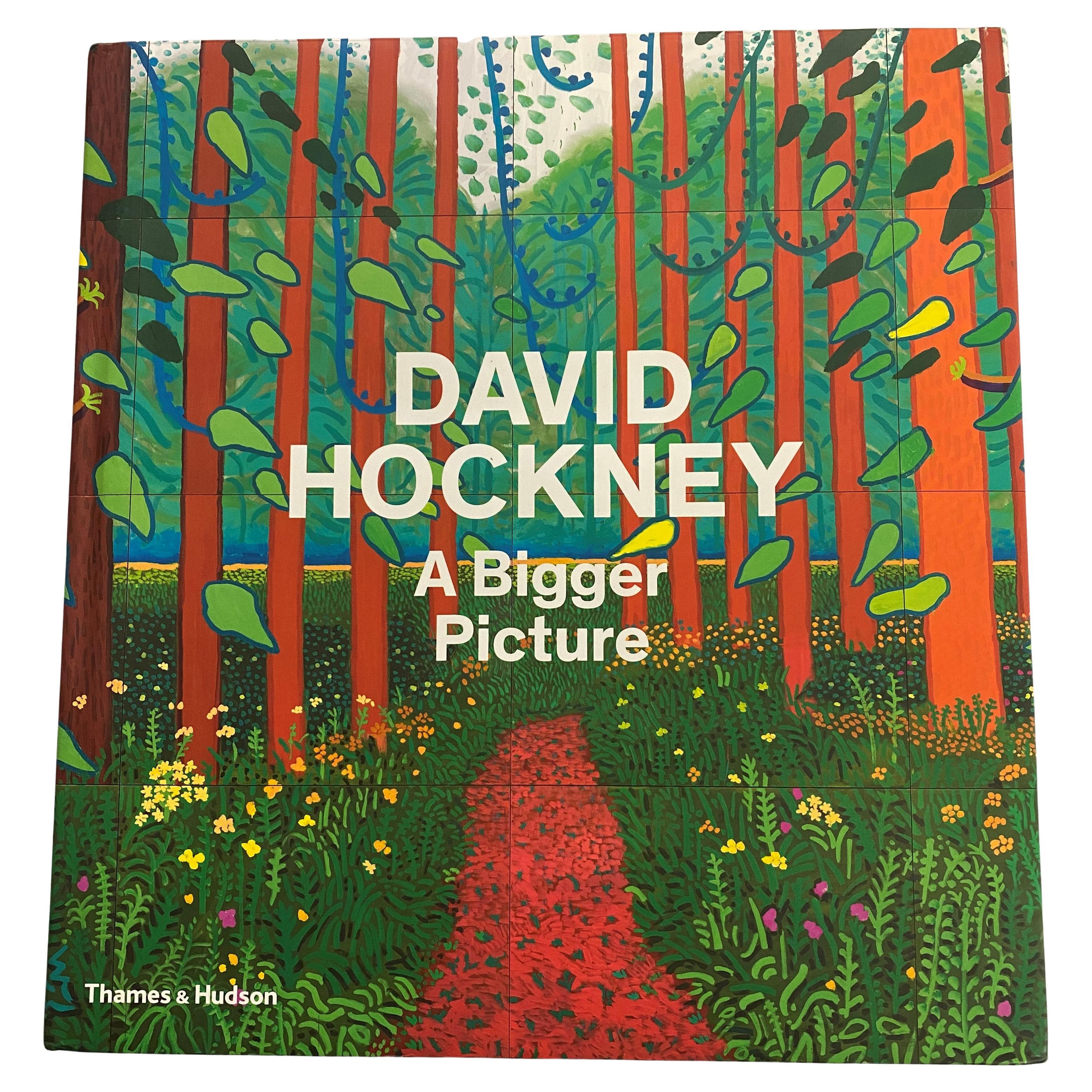David Hockney: Ein großes Bild von Xavier F. Salomon (Buch)