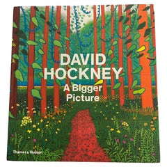 David Hockney: A Big Picture by Xavier F. Salomon (Book)