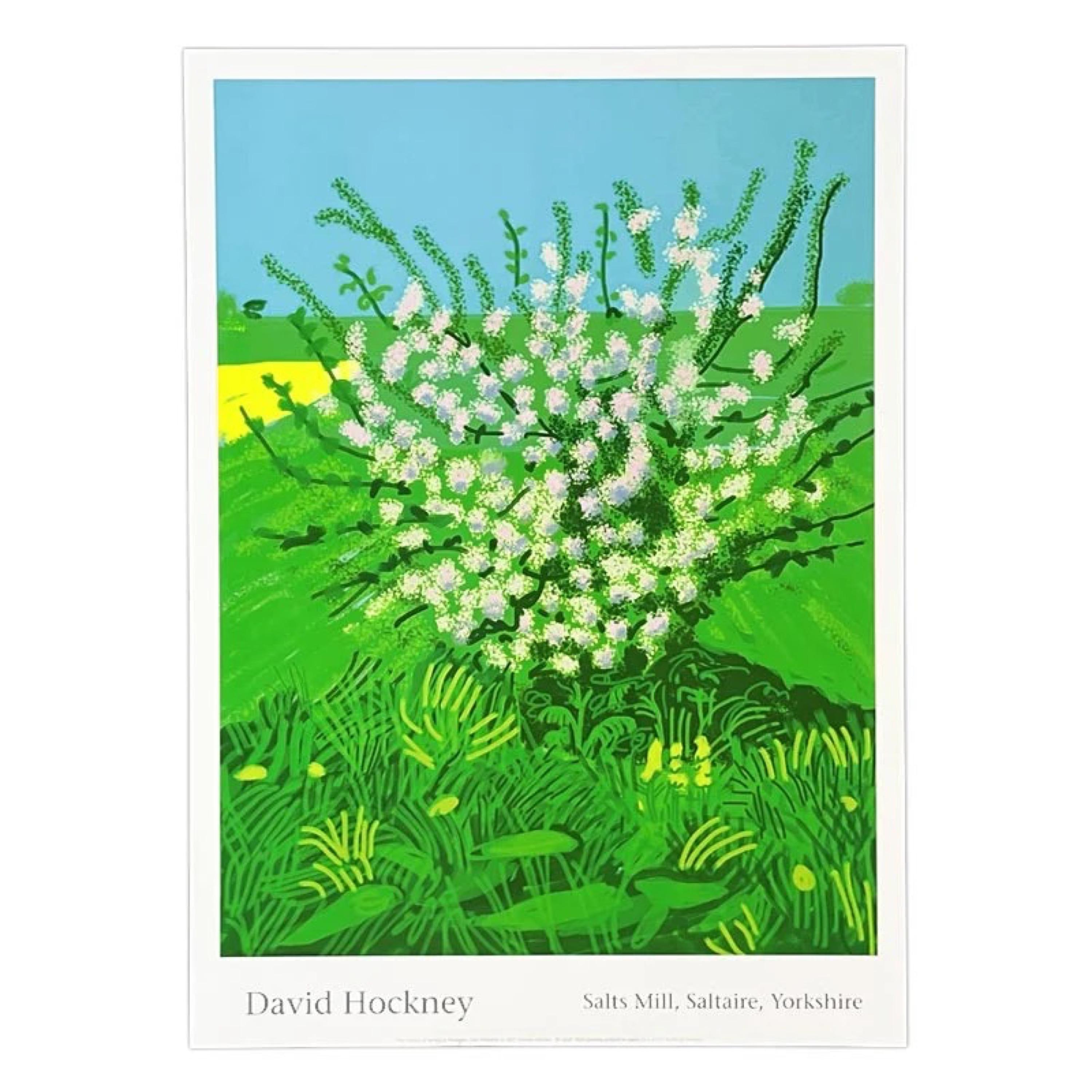 David Hockney, The Arrival of Spring, 2011

Printed on 250gsm Novatech, gloss-coated paper. FSC certified, ECF pulp
Unframed: 23 x 33 cm (9.05 × 12.99 in)
Framed: 36.5 x 46 cm (14.37 × 18.11 in)

David Hockney’s The Arrival of Spring captures the