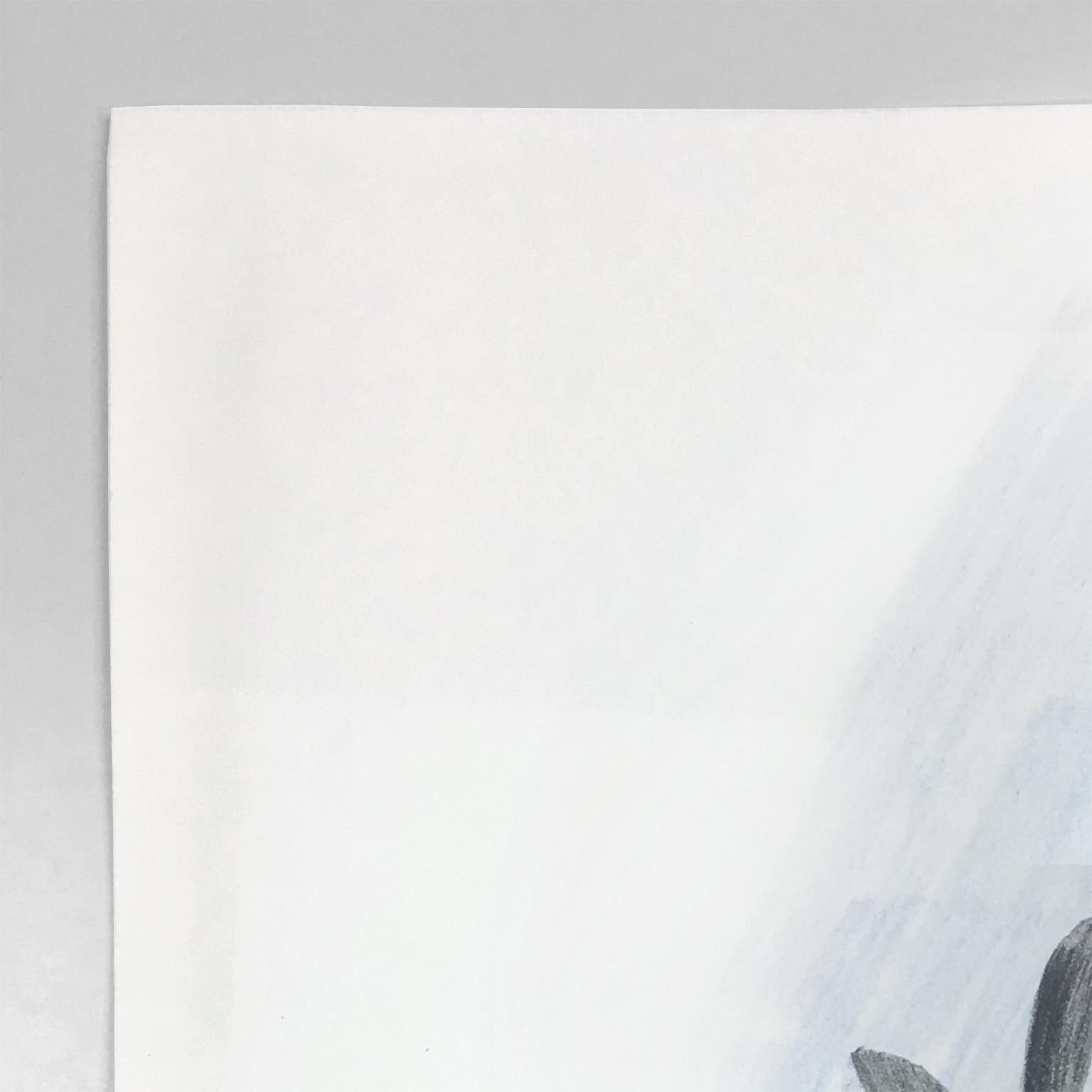 California Scene, David Hockney. Colorful palm tree landscape with blue sky 1