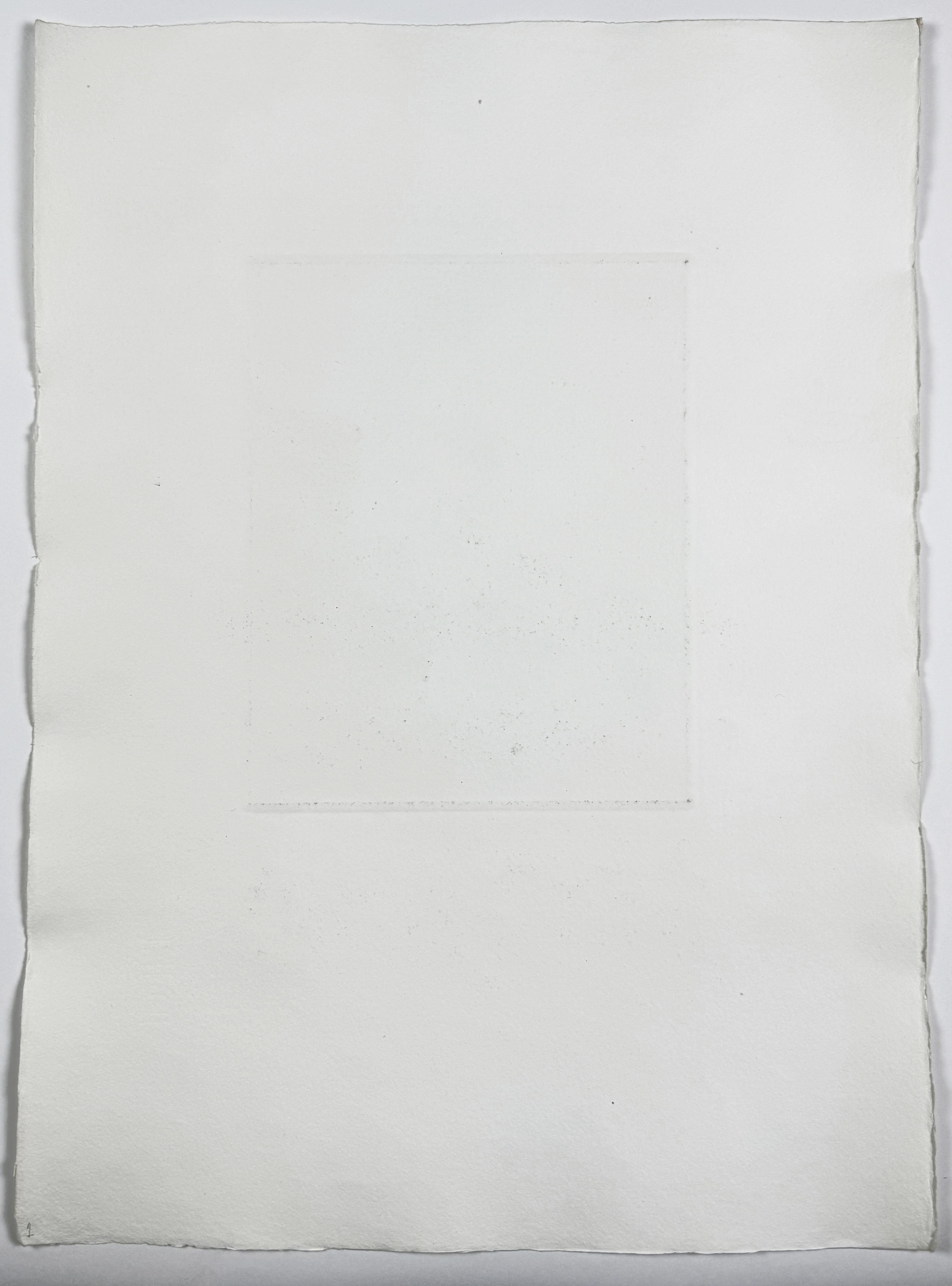 Catherina Dorothea Viehmann David Hockney Fairy Tales from the Brothers Grimm For Sale 3
