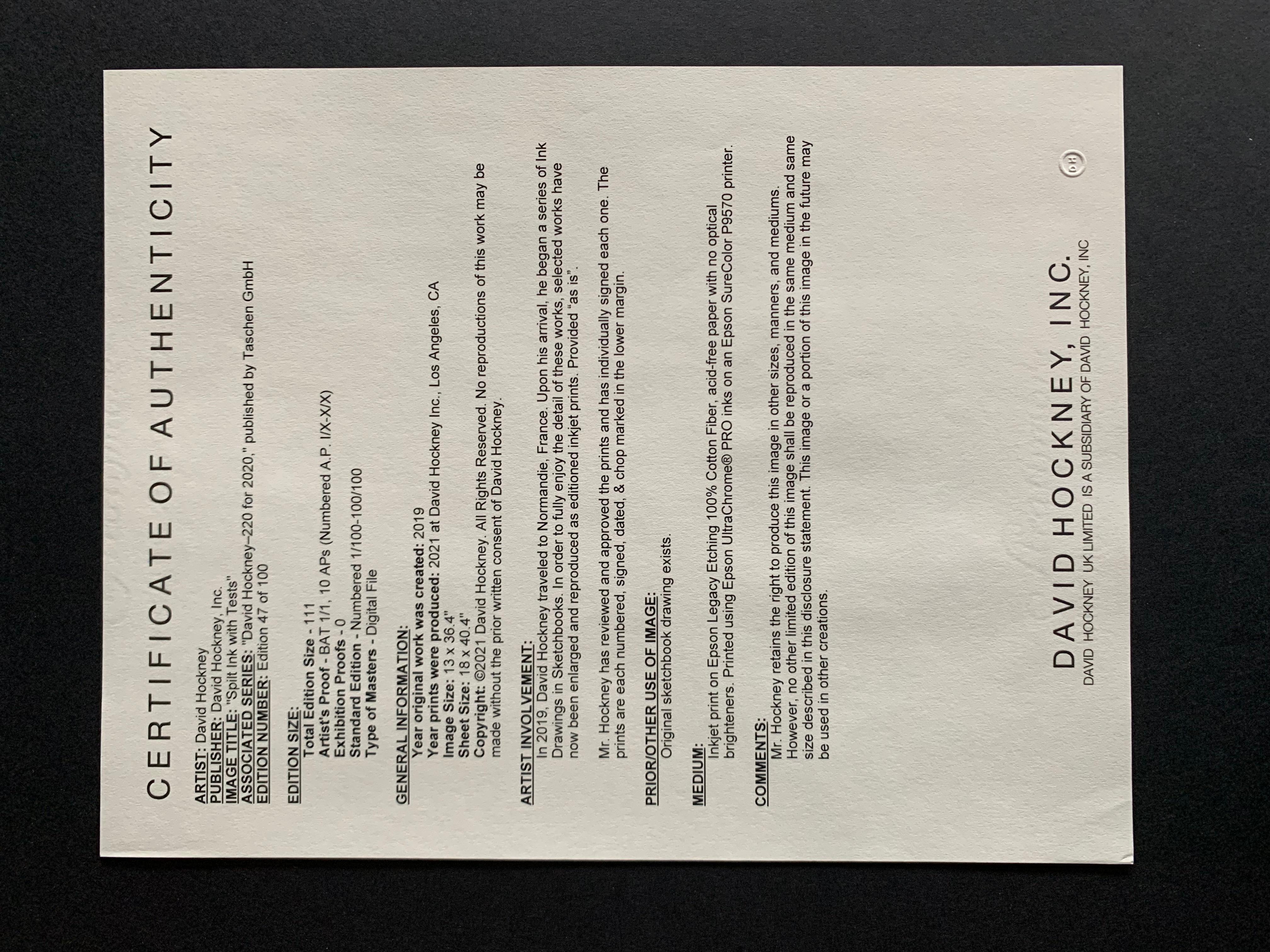 David Hockney. 220 for 2020. Art Edition A No. 1–100 ‘Spilt Ink with Tests' 2021 For Sale 9
