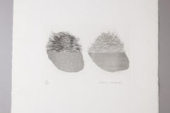 David Hockney, Straw on the Left, Gold on the Right – Signed Print from 1969