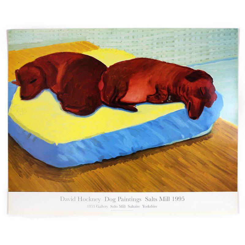 David Hockney Animal Art - Dog 38