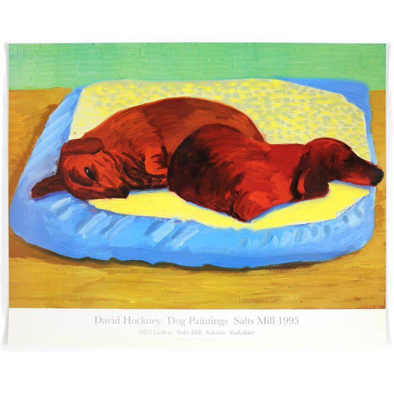 David Hockney Animal Art - Dog 43