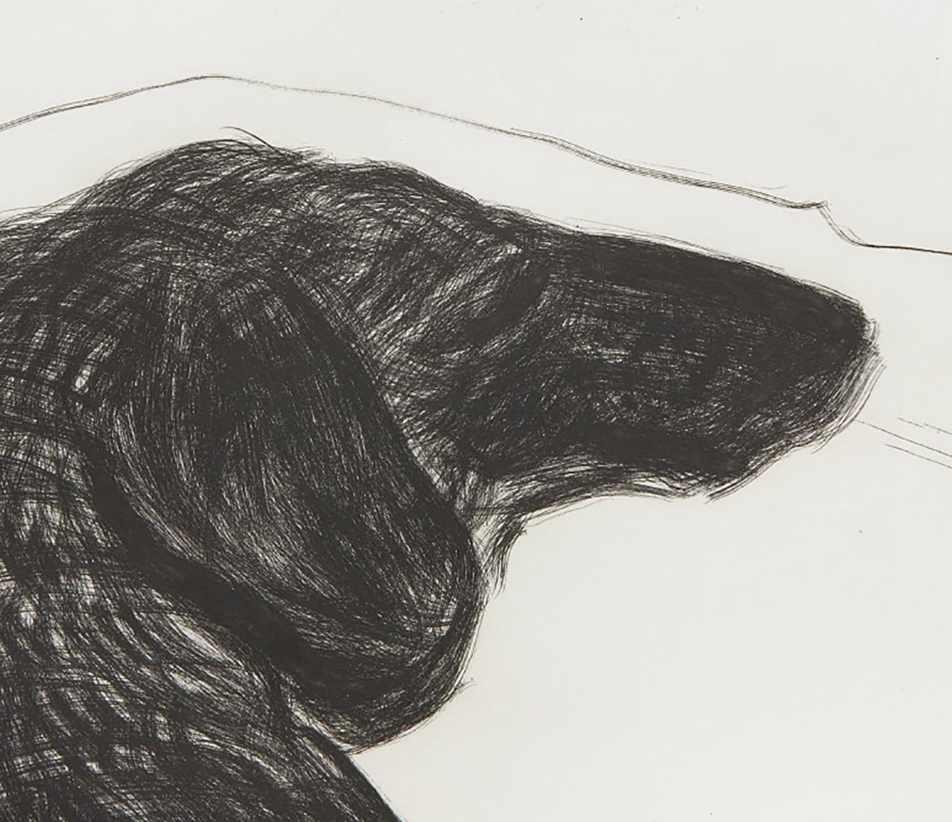 Dog Etching No.6, from Dog Wall - Print by David Hockney