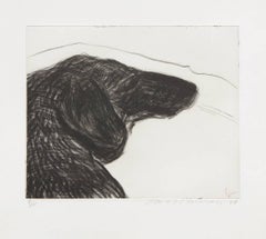 Vintage Dog Etching No.6, from Dog Wall