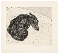 Dog No. 15 -- Stampa, Acquaforte, Animale, Arte contemporanea di David Hockney