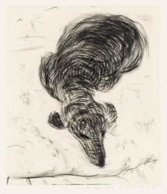 Dog No. 7 -- Stampa, Acquaforte, Animale, Arte contemporanea di David Hockney