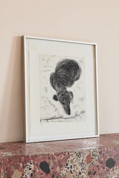 Dog No. 7 -- Print, Etching, Animal, Contemporary Art by David Hockney