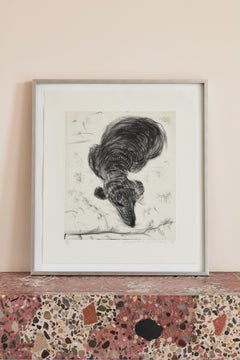 Dog No. 7 -- Print, Etching, Animal, Contemporary Art by David Hockney