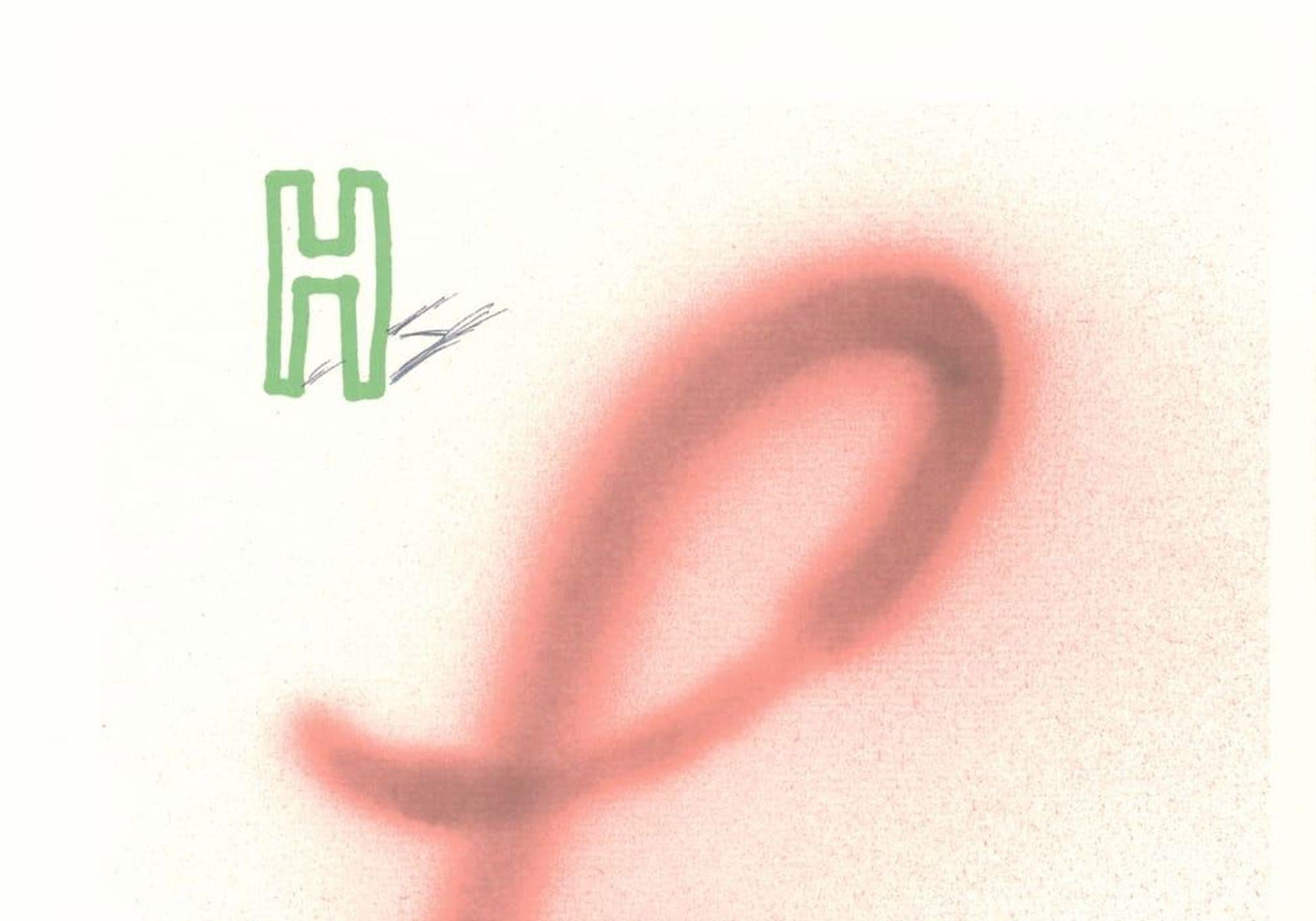 'H' From 'Hockney's Alphabet' By David Hockney For Sale 2
