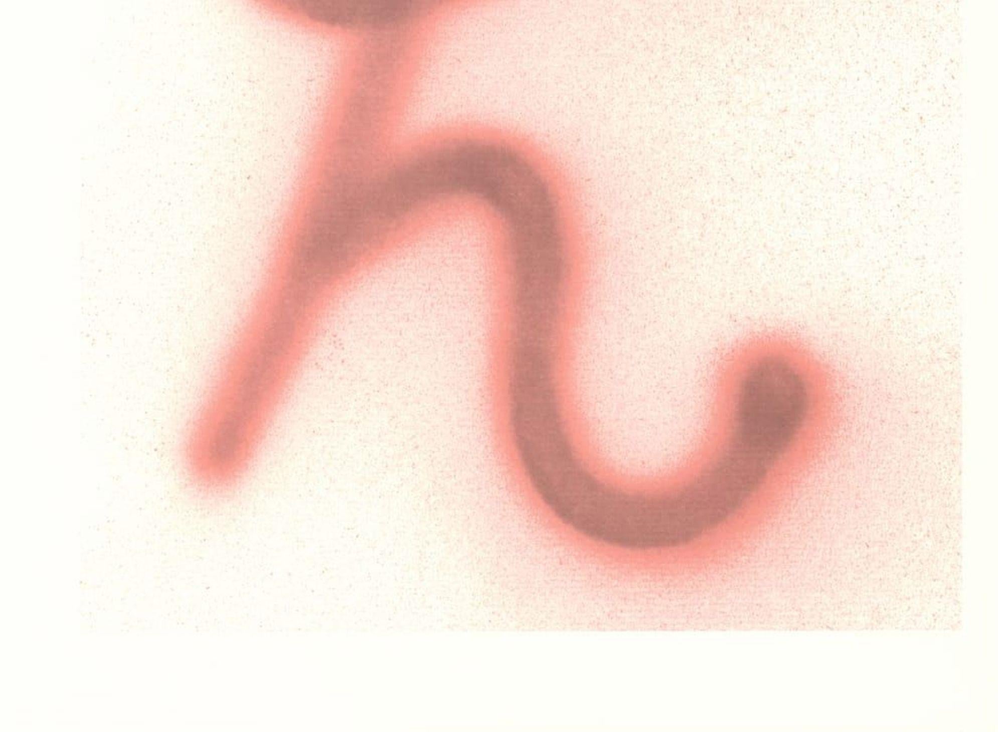 'H' From 'Hockney's Alphabet' By David Hockney For Sale 3