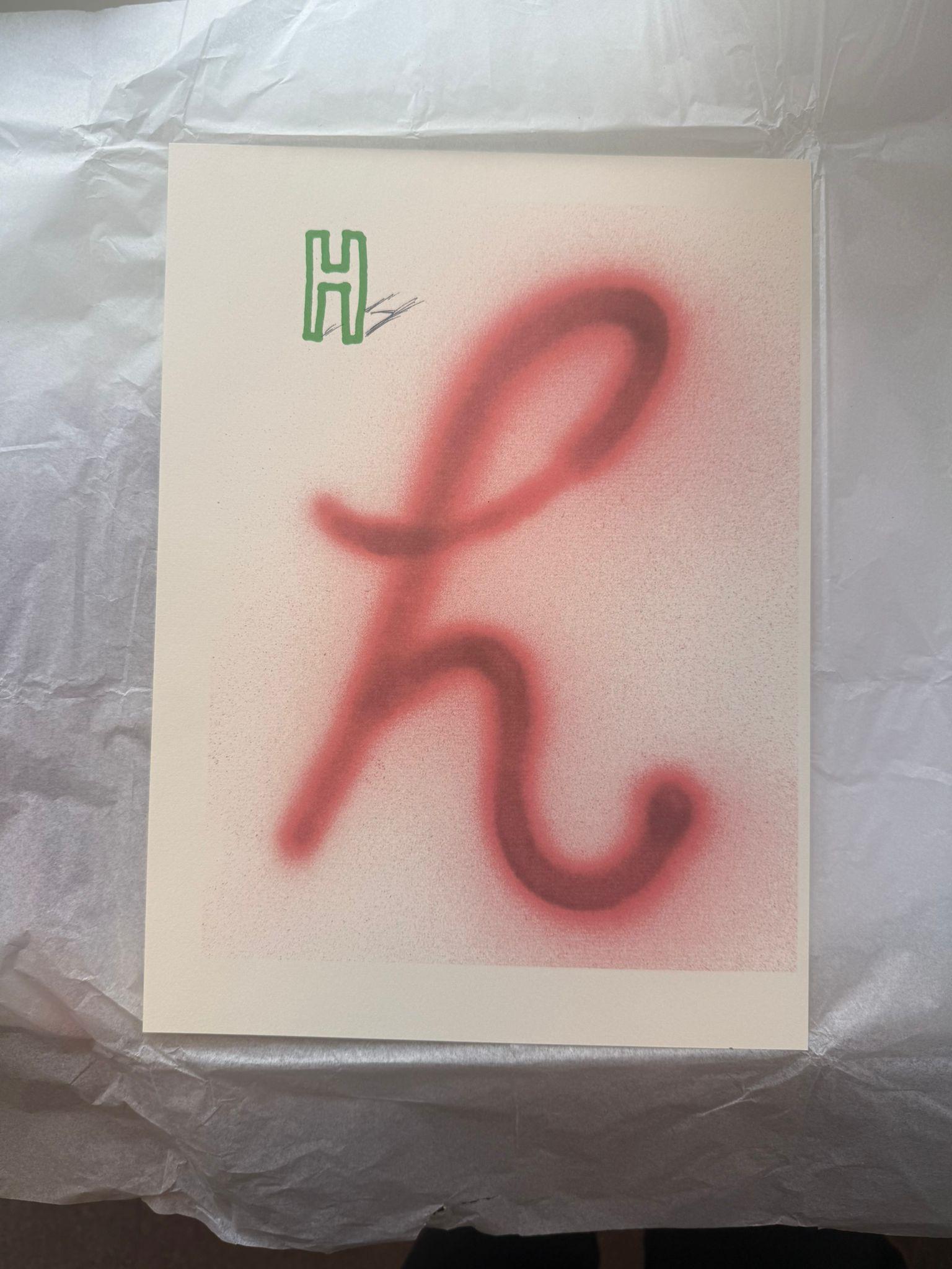 'H' From 'Hockney's Alphabet' By David Hockney For Sale 4