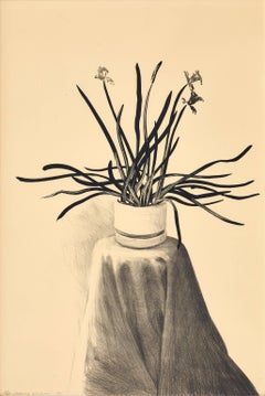 Daffodils à pot