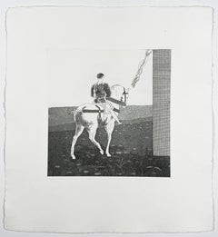 Raperonzolo, Raperonzolo, sciogli i tuoi capelli David Hockney Brothers Fiabe Grimm