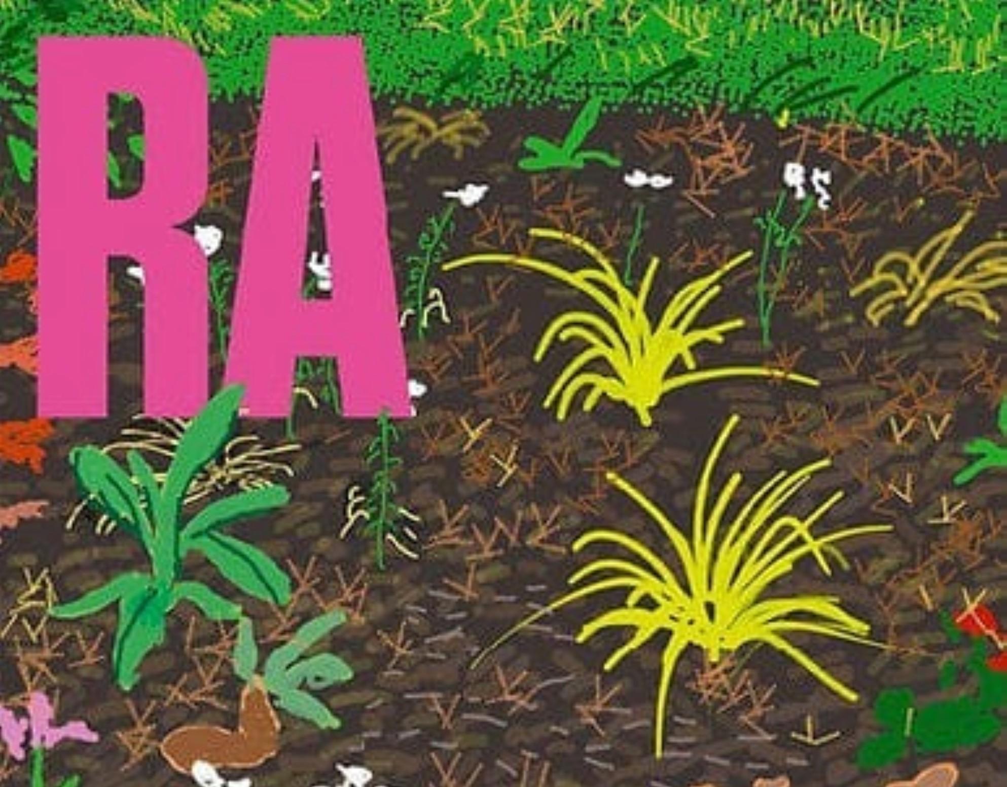 Royal Academy Exhibition Poster By David Hockney en vente 1