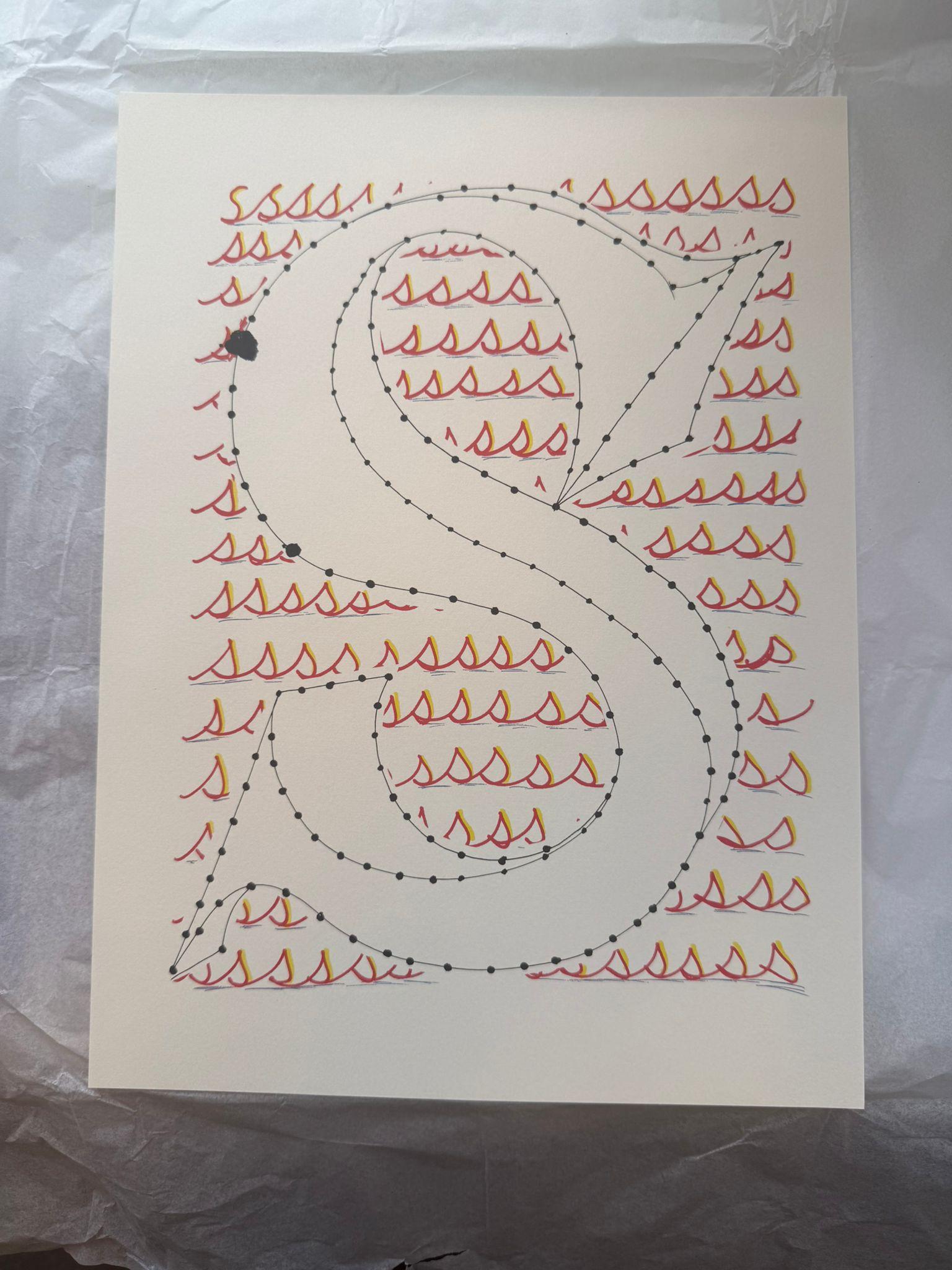 'S' From 'Hockney's Alphabet' By David Hockney For Sale 4