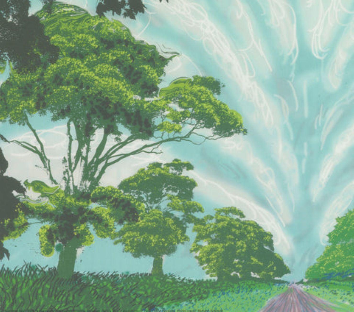 Cielo d'estate di David Hockney in vendita 3