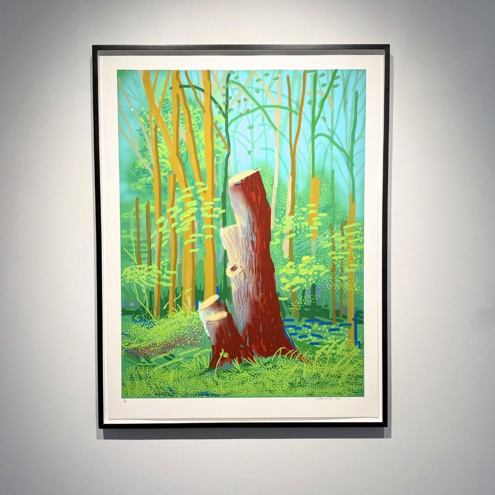 Die Ankunft des Frühlings in Woldgate, East Yorkshire im Jahr 2011 - 24. April (Zeitgenössisch), Print, von David Hockney