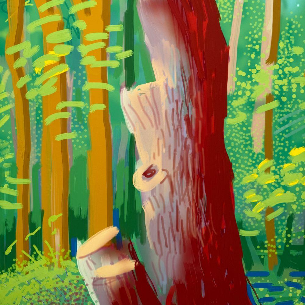 Die Ankunft des Frühlings in Woldgate, East Yorkshire im Jahr 2011 - 24. April (Weiß), Figurative Print, von David Hockney