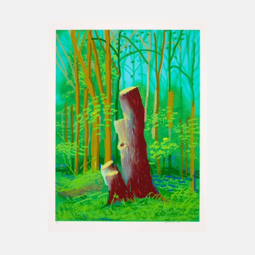 David Hockney Figurative Print – Die Ankunft des Frühlings in Woldgate, East Yorkshire im Jahr 2011 - 24. April