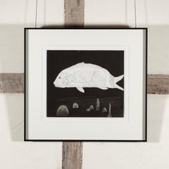 El niño escondido en un pez, 1969 - Grabado de David Hockney, edición de 400 ejemplares