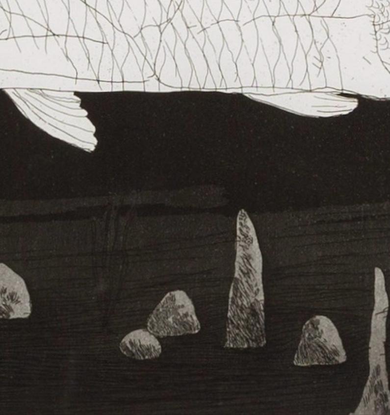 The Boy Hidden in a Fish, 1969 - David Hockney Print, Edition of 400 For Sale 2