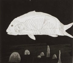 El niño escondido en un pez, 1969 - Grabado de David Hockney, edición de 400 ejemplares