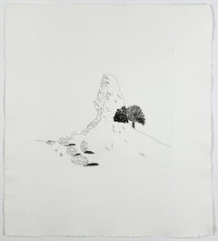 La montagna di vetro si frantumò David Hockney Fiabe dei fratelli Grimm