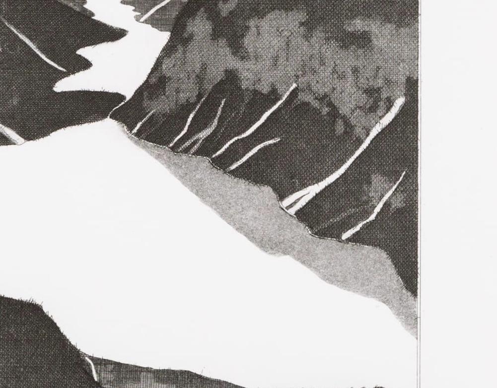 David Hockney, El lago, Impresión de los años 60 en blanco y negro, Montañas y agua en venta 3