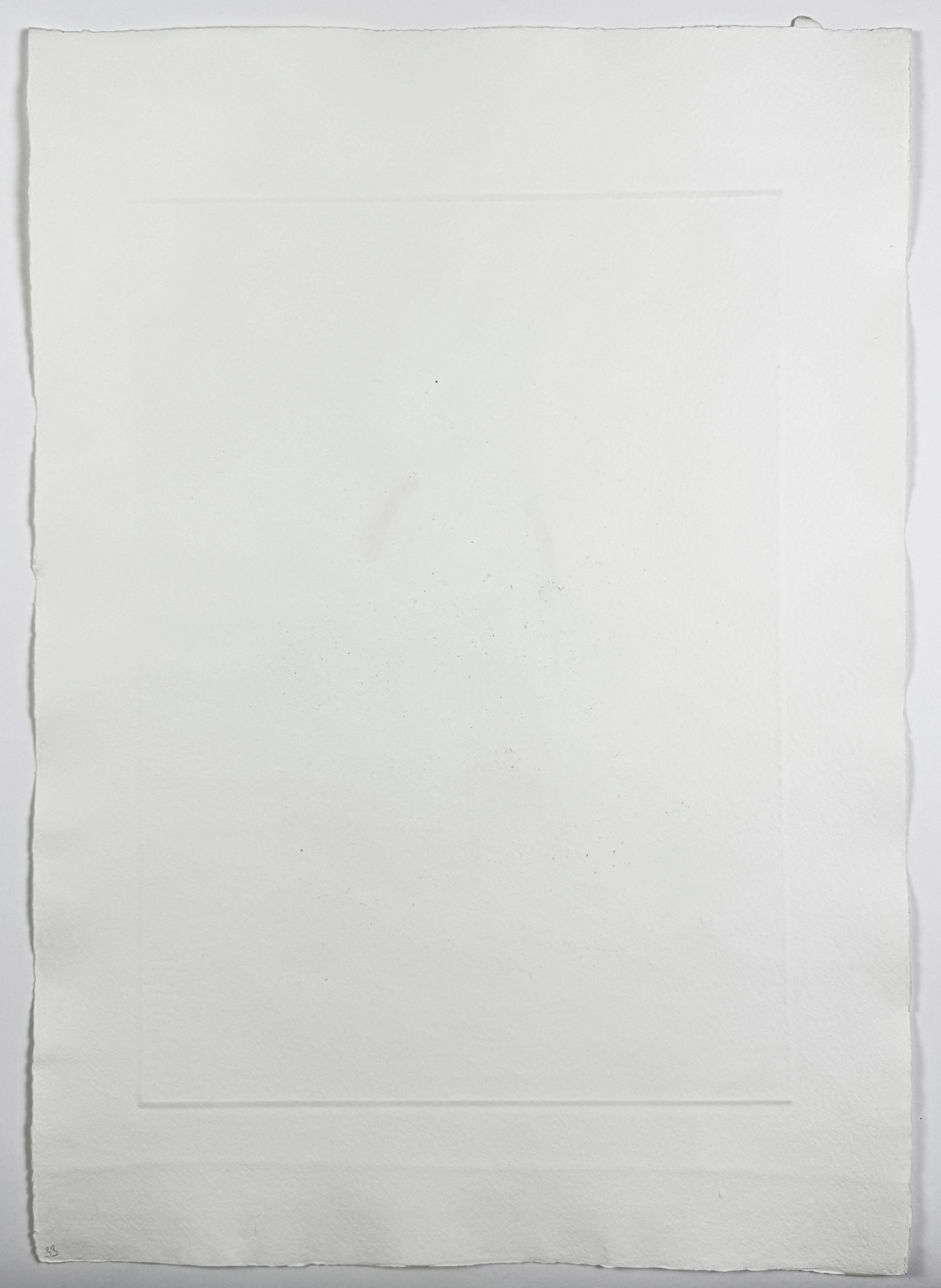 The Princess after many years in the Glass Mountain by David Hockney fairy tale For Sale 3