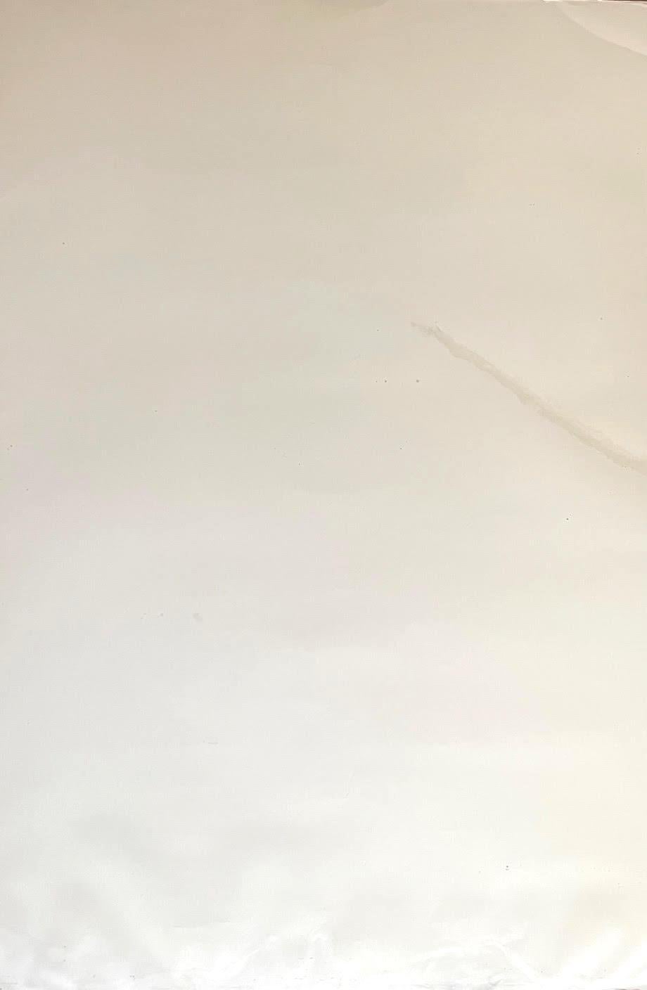 Tirage Nude de Theresa Russell (signé à la main, inscrit et daté par David Hockney) en vente 7