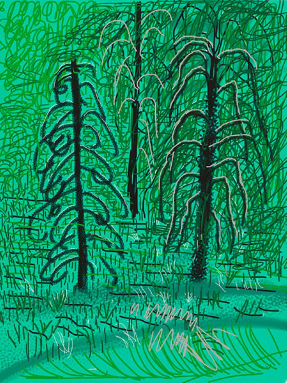 "Senza titolo n. 16" da "The Yosemite Suite" di David Hockney