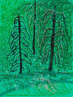 "Sin título nº 16" De "La Suite Yosemite" De David Hockney