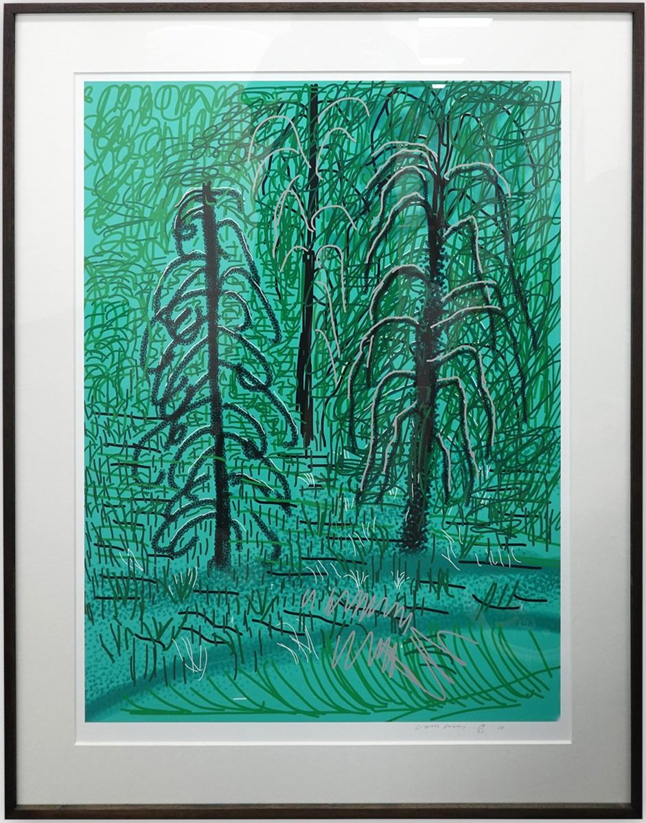 Landscape Print David Hockney - Sans titre n° 16 de la suite Yosemite
