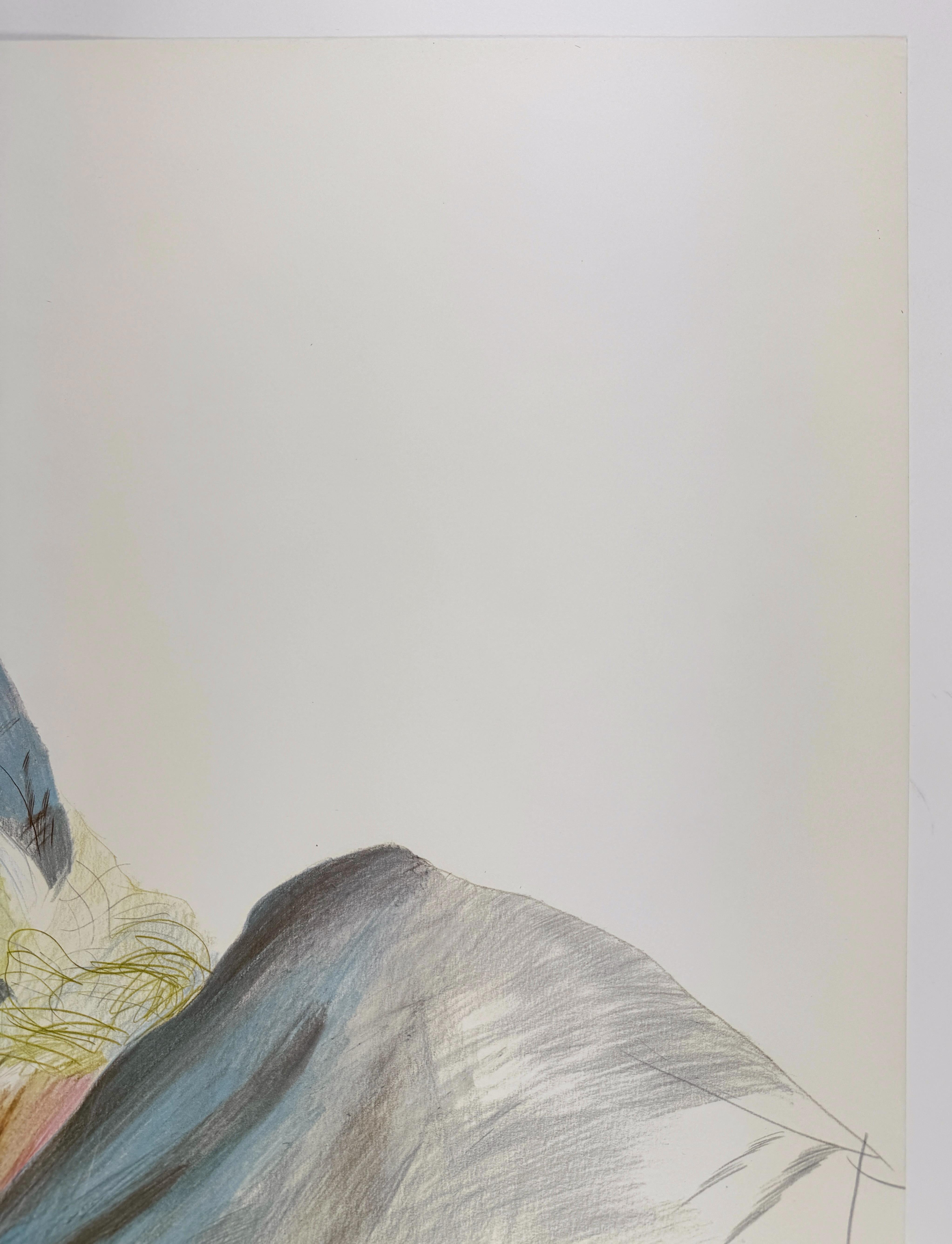 Dieses wunderschöne Plakat wurde von Petersburg Press anlässlich der Ausstellung von David Hockneys Grafiken und Zeichnungen auf der Chicagoer Kunstmesse 1981 gedruckt und reproduziert Hockneys Zeichnung Celia Wearing Checkered Sleeves, 1973. Die