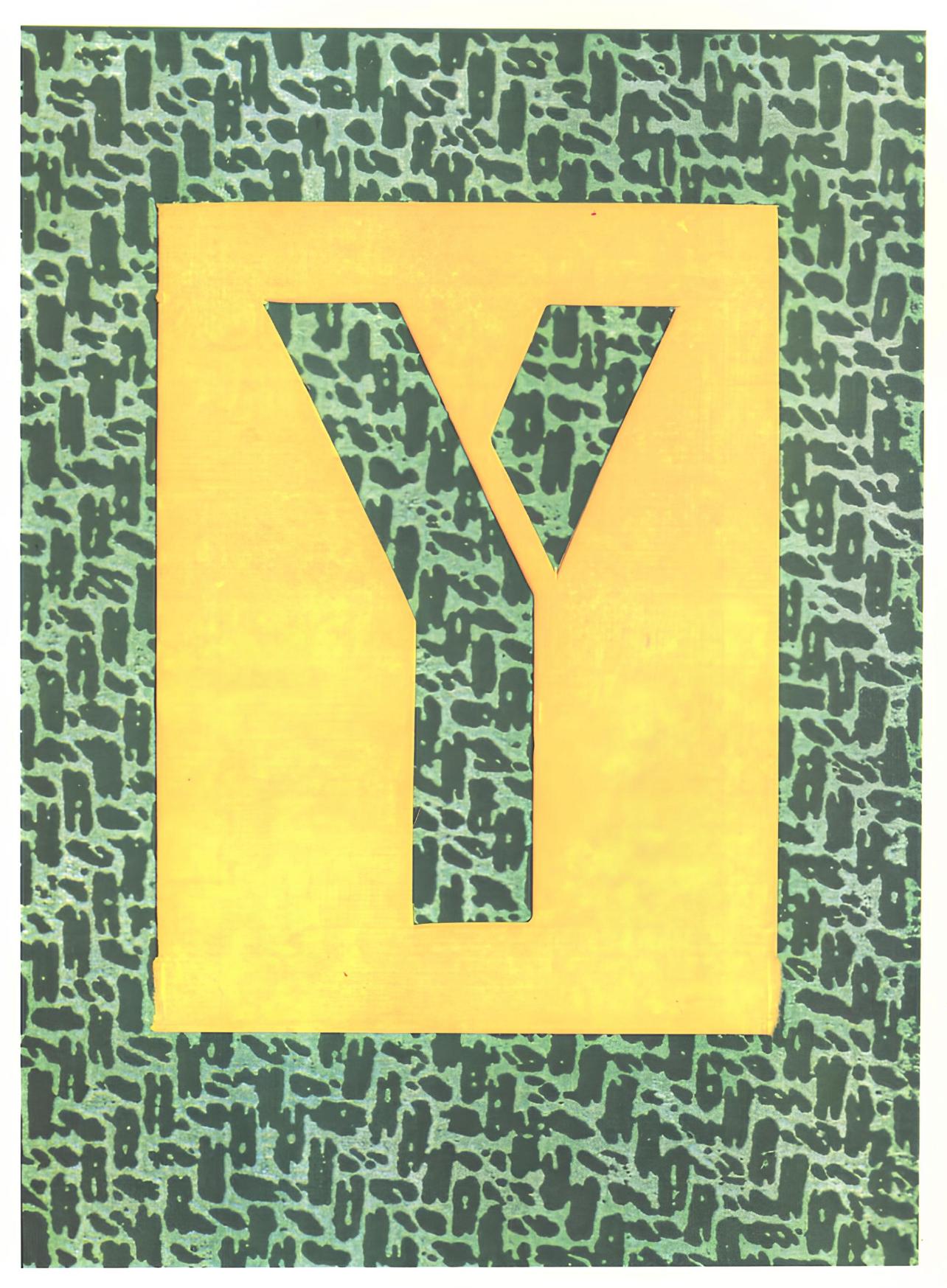 Y, Alphabet de David Hockney, David Hockney en vente 1