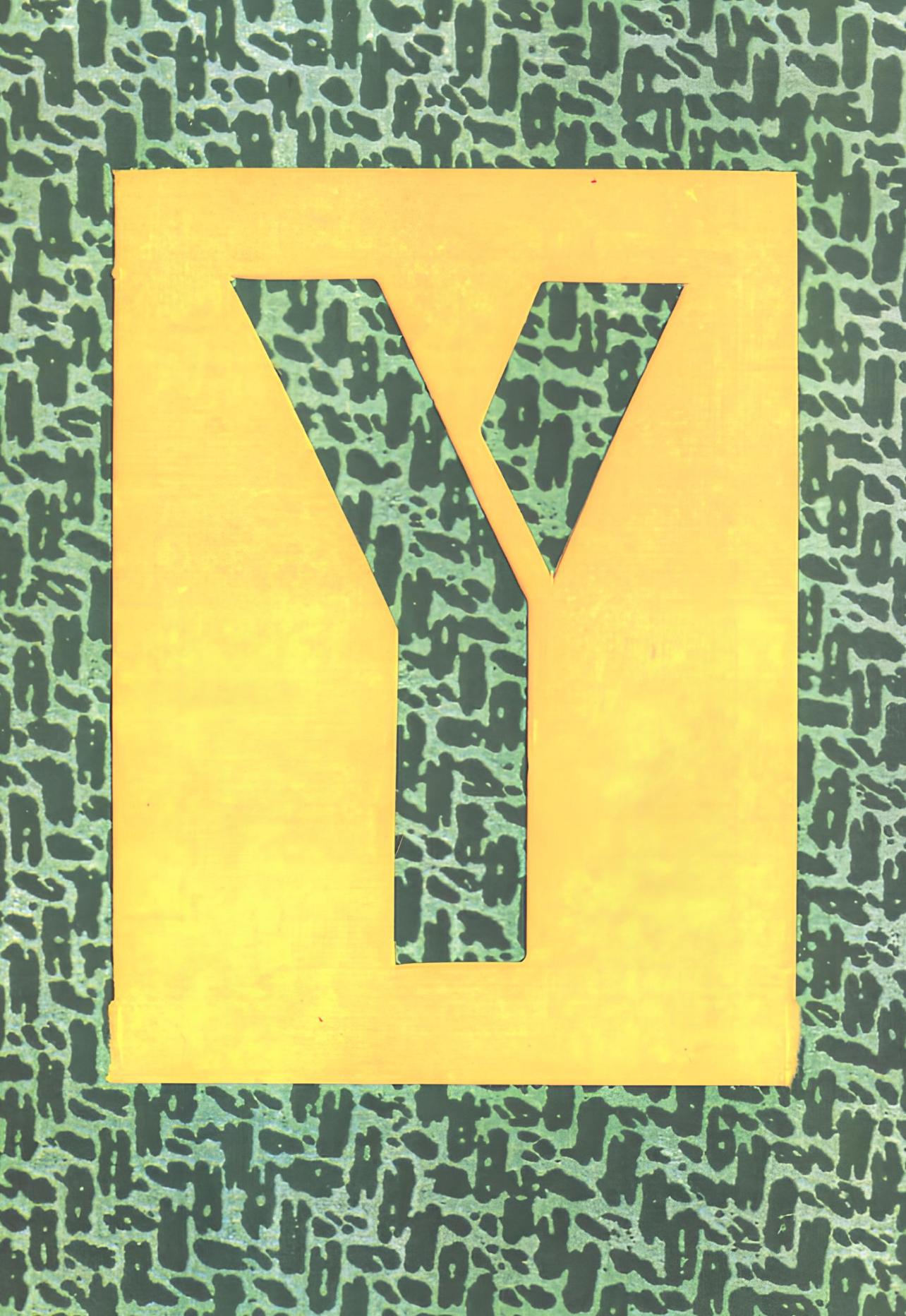 Y, Alphabet de David Hockney, David Hockney en vente 2
